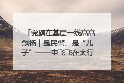 党旗在基层一线高高飘扬｜是民警、是“儿子”——申飞飞在太行山中的一线坚守