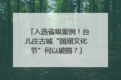 入选省级案例！台儿庄古城“国潮文化节”何以破圈？