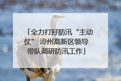 全力打好防汛“主动仗” 漳州高新区领导带队调研防汛工作