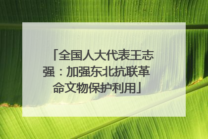 全国人大代表王志强：加强东北抗联革命文物保护利用