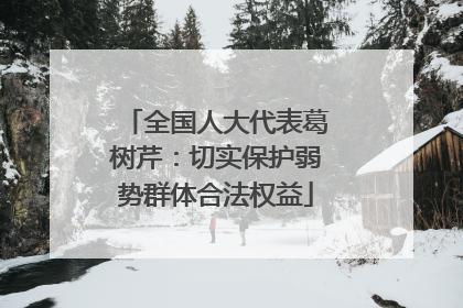 全国人大代表葛树芹：切实保护弱势群体合法权益