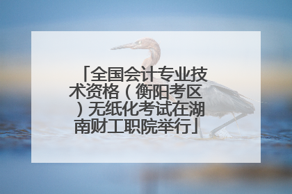 全国会计专业技术资格（衡阳考区）无纸化考试在湖南财工职院举行