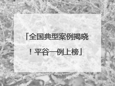 全国典型案例揭晓！平谷一例上榜
