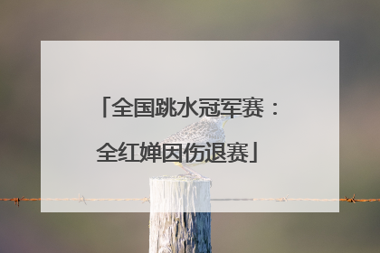 全国跳水冠军赛：全红婵因伤退赛
