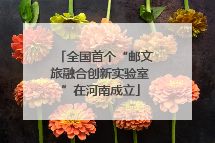 全国首个“邮文旅融合创新实验室”在河南成立