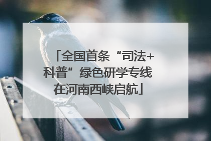 全国首条“司法+科普”绿色研学专线在河南西峡启航