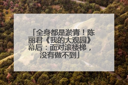 全身都是淤青！陈丽君《我的大观园》幕后：面对滚楼梯，没有做不到