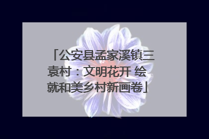 公安县孟家溪镇三袁村：文明花开 绘就和美乡村新画卷