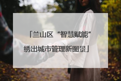 兰山区“智慧赋能”绣出城市管理新图景