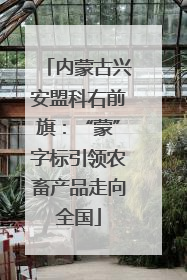 内蒙古兴安盟科右前旗：“蒙”字标引领农畜产品走向全国