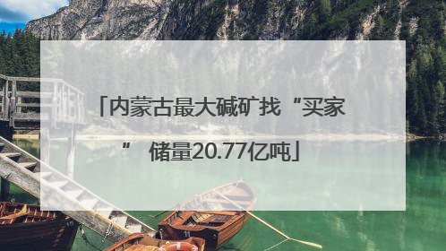 内蒙古最大碱矿找“买家” 储量20.77亿吨