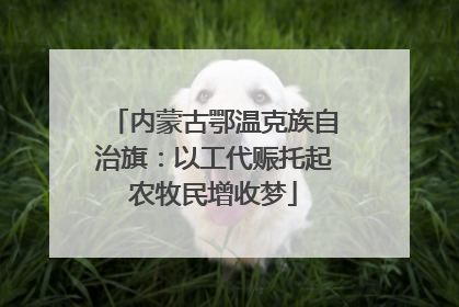内蒙古鄂温克族自治旗：以工代赈托起农牧民增收梦