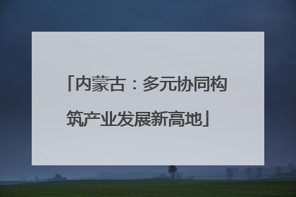 内蒙古：多元协同构筑产业发展新高地