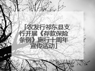 农发行祁东县支行开展《存款保险条例》施行十周年宣传活动