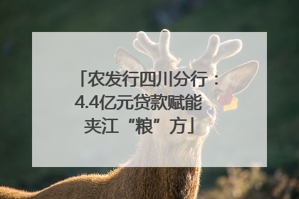 农发行四川分行：4.4亿元贷款赋能夹江“粮”方