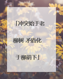 冲突始于老柳树 矛盾化于柳荫下