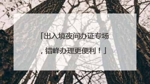 出入境夜间办证专场，错峰办理更便利！