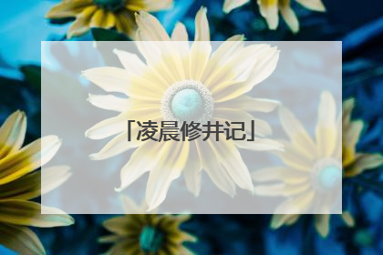 凌晨修井记