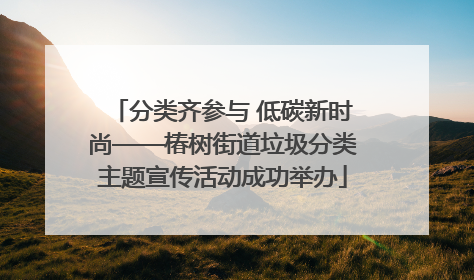 分类齐参与 低碳新时尚——椿树街道垃圾分类主题宣传活动成功举办