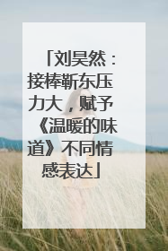 刘昊然：接棒靳东压力大，赋予《温暖的味道》不同情感表达