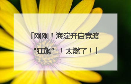 刚刚！海淀开启竞渡“狂飙”！太燃了！