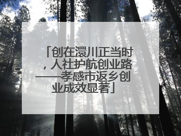创在澴川正当时，人社护航创业路——孝感市返乡创业成效显著