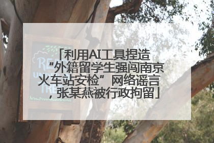 利用AI工具捏造 “外籍留学生强闯南京火车站安检”网络谣言，张某燕被行政拘留