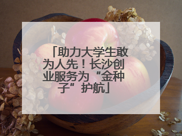 助力大学生敢为人先！长沙创业服务为“金种子”护航