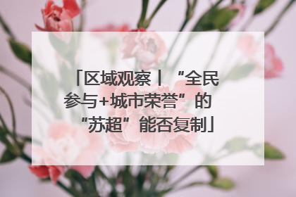 区域观察丨“全民参与+城市荣誉”的“苏超”能否复制