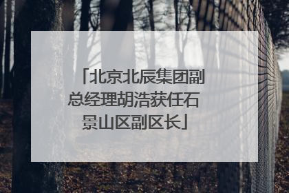 北京北辰集团副总经理胡浩获任石景山区副区长