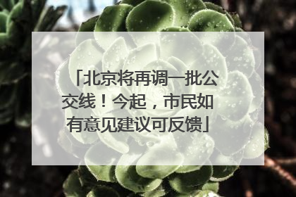 北京将再调一批公交线！今起，市民如有意见建议可反馈