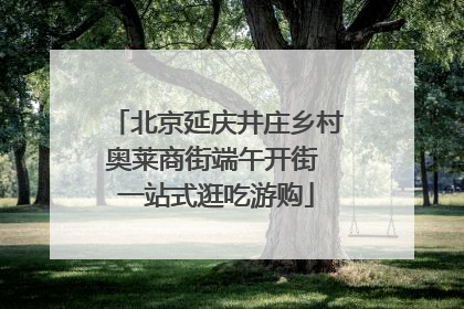 北京延庆井庄乡村奥莱商街端午开街 一站式逛吃游购