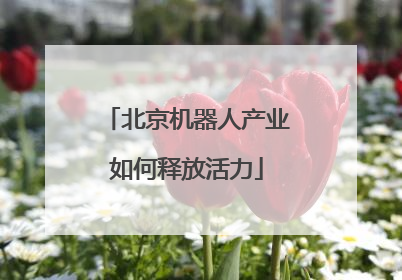 北京机器人产业如何释放活力