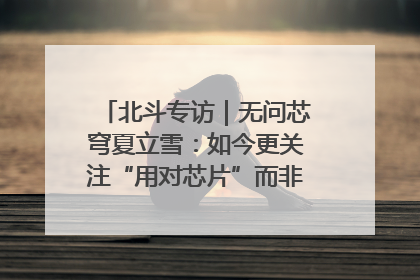 北斗专访｜无问芯穹夏立雪：如今更关注“用对芯片”而非“用贵芯片”