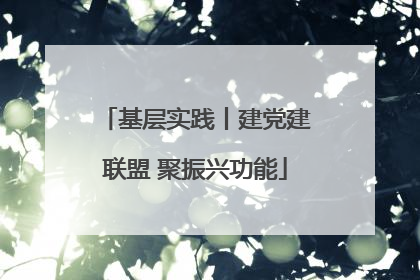 基层实践丨建党建联盟 聚振兴功能