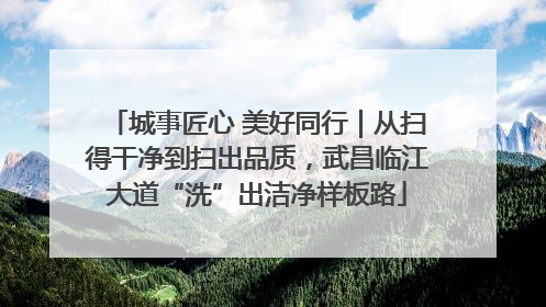 城事匠心 美好同行｜从扫得干净到扫出品质，武昌临江大道“洗”出洁净样板路