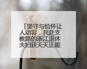 坚守与情怀让人动容，共赴支教路的浙江退休夫妇获天天正能量奖励