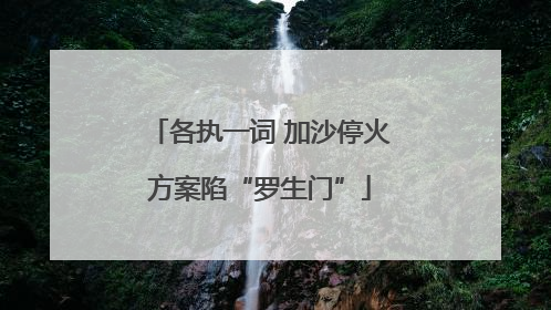 各执一词 加沙停火方案陷“罗生门”