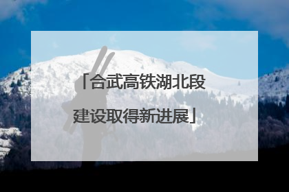 合武高铁湖北段建设取得新进展