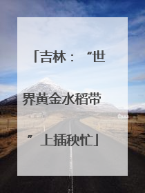 吉林：“世界黄金水稻带”上插秧忙