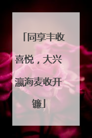 同享丰收喜悦，大兴瀛海麦收开镰