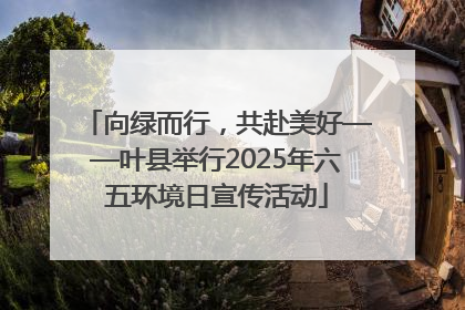向绿而行，共赴美好——叶县举行2025年六五环境日宣传活动