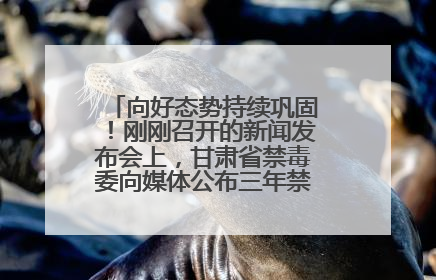 向好态势持续巩固！刚刚召开的新闻发布会上，甘肃省禁毒委向媒体公布三年禁毒工作“成绩单”