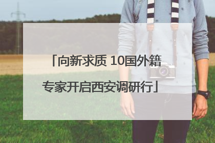 向新求质 10国外籍专家开启西安调研行