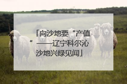 向沙地要“产值”——辽宁科尔沁沙地兴绿见闻
