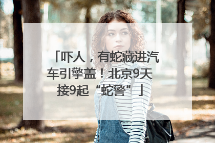 吓人，有蛇藏进汽车引擎盖！北京9天接9起“蛇警”