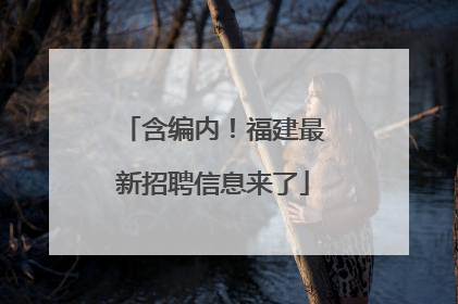 含编内！福建最新招聘信息来了