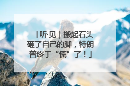 听·见｜搬起石头砸了自己的脚，特朗普终于“慌”了！