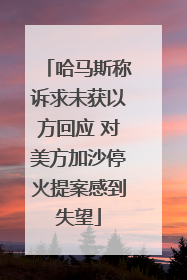 哈马斯称诉求未获以方回应 对美方加沙停火提案感到失望