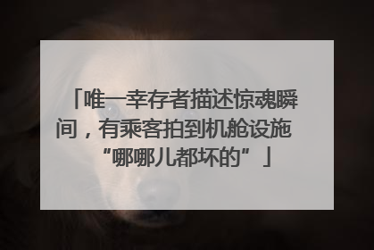 唯一幸存者描述惊魂瞬间，有乘客拍到机舱设施“哪哪儿都坏的”